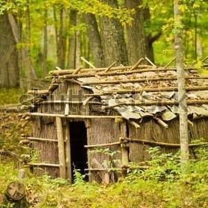 Meet your Posher, Tony